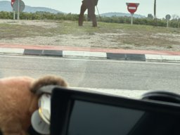 066-12-12-2025 IMG_3201